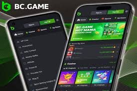 Discover the Exciting World of BC.Game Casino -952264716 Discover the Exciting World of BC.Game Casino -952264716